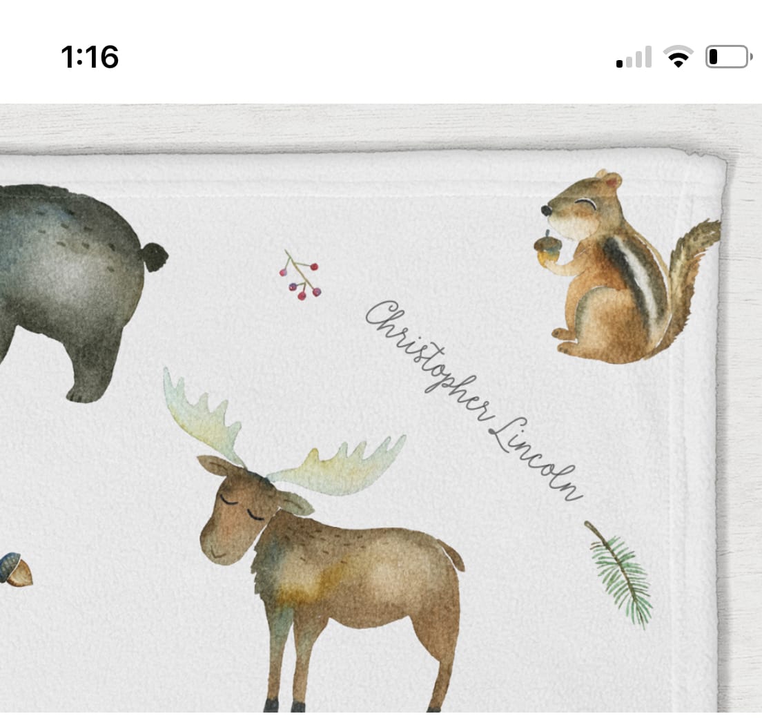 Customer photo review of Woodland Animals Personalized Baby Blanket