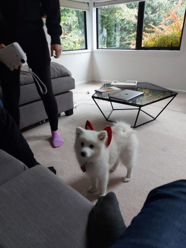 Customer photo review of MURDER AT THE MOUNT