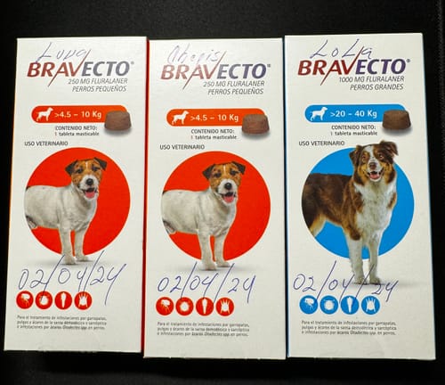 Customer photo review of Bravecto®