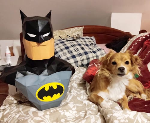Customer photo review of Patrons Buste Batman (pdf)