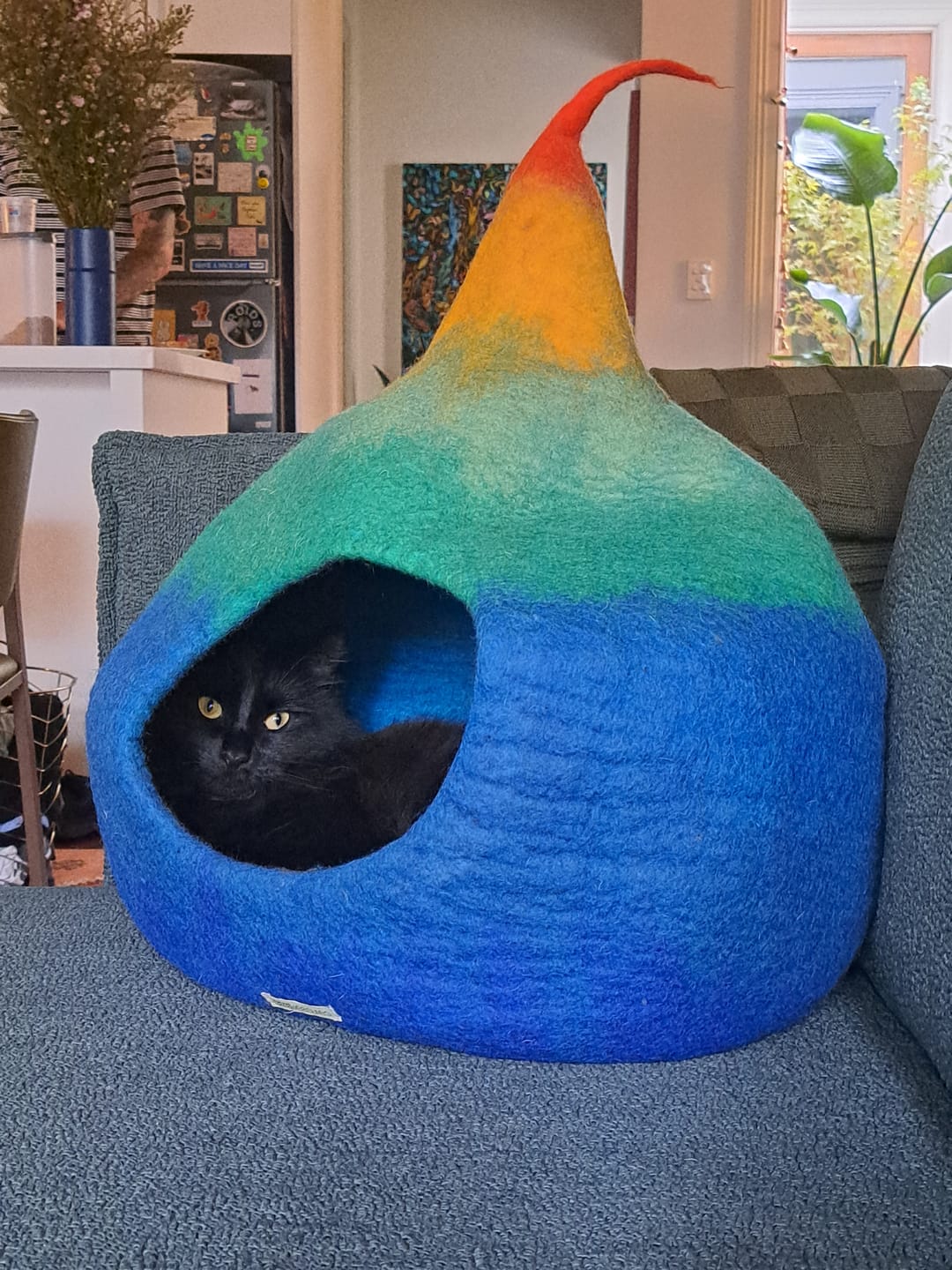 Customer photo review of Cat Cave - Rainbow Teardrop