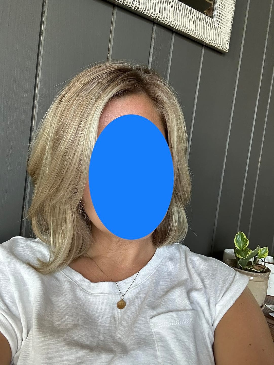 Customer photo review of AirStyler Max Hårtørrer