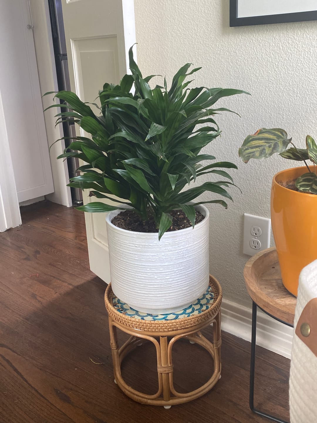 Customer photo review of Bloom Rattan Table Set