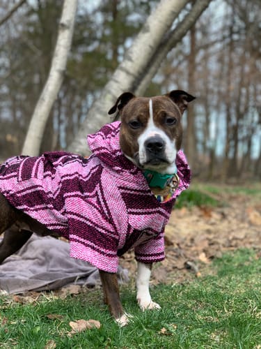 Customer photo review of Free & Easy Return or Exchange Coverage + Package Protection