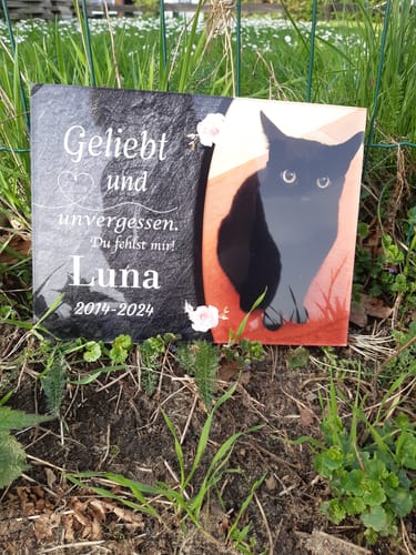 Customer photo review of Katzen Gedenktafel mit Foto & Spruch (UV- & Wetterfest)