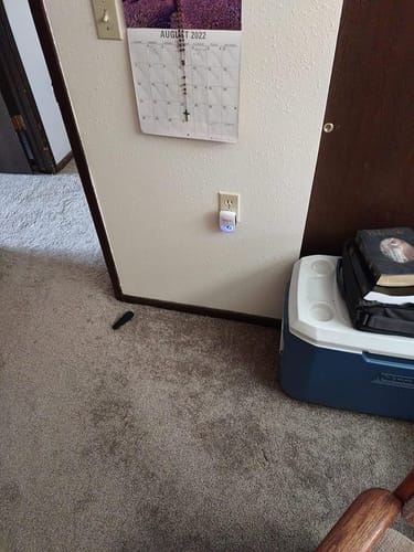 Customer photo review of PestStop - effektiver Bekämpfer von Ungeziefer