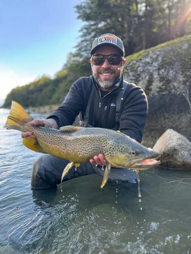 Customer photo review of Lente Polarizado Serie M modelo 1 Marrón