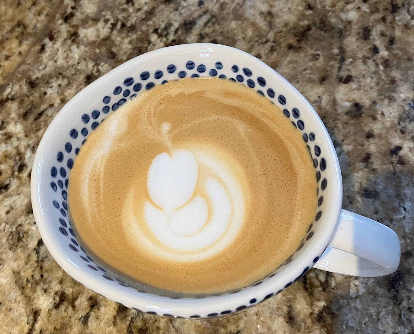 Customer photo review of Decaffeinated Espresso Coffee Blend - Swiss Water Decaf Process - Strength 5 - Decadent Decaf
