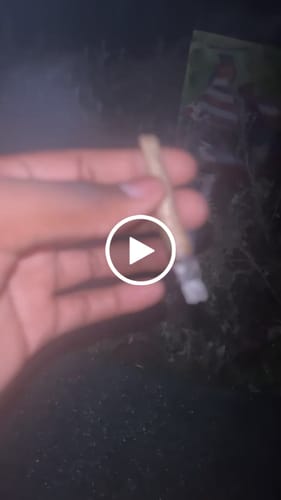 Customer video review of THCa Indoor Micros