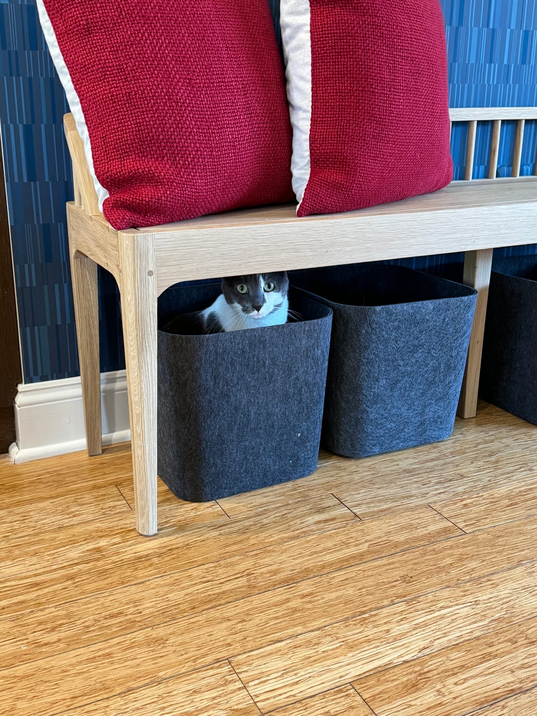 Customer photo review of The Sculpted Bin - Original