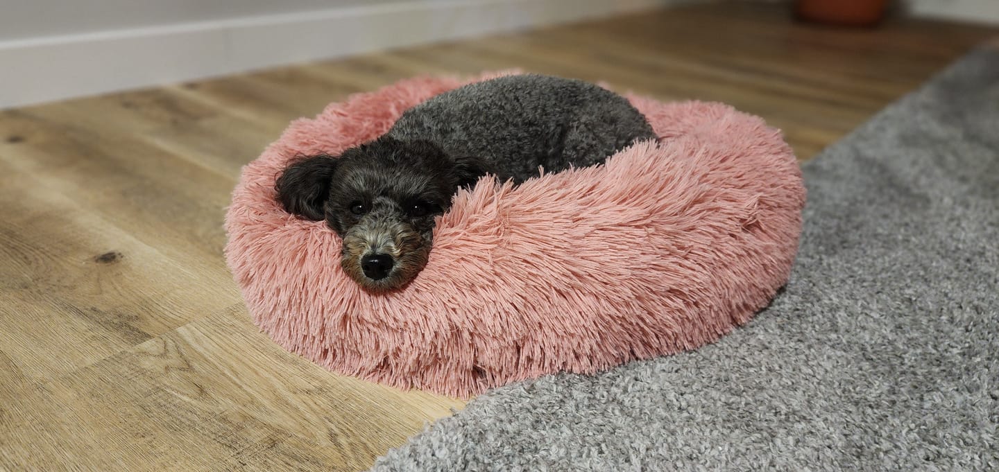 Customer photo review of Brooklyn® Ultra Memory Foam Bed