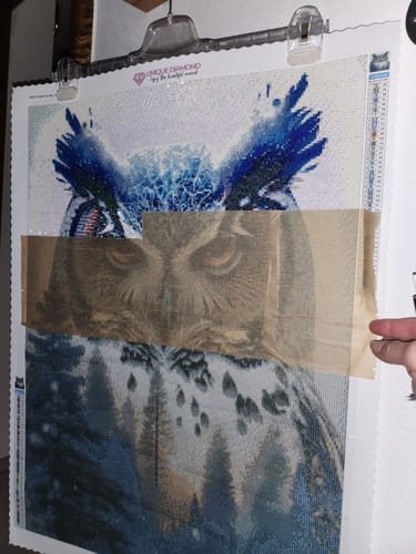 Customer photo review of 5D Diamond Painting AB Steine Natur Eule