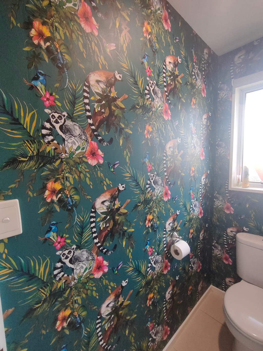 Customer photo review of Lemur Imaginarium Wallpaper - 5 Colours