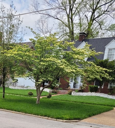 Customer photo review of OII-YS Natural Adjuvant