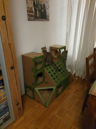 Customer photo review of Katzenhaus Royal Castle - grün