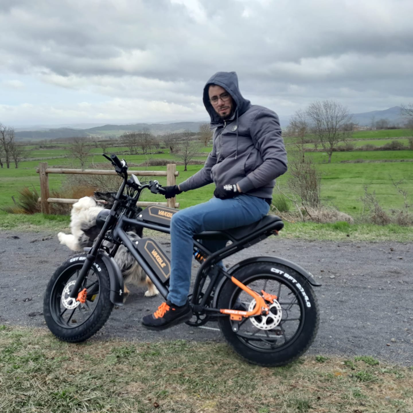 Customer photo review of Vakole Q20 750W 20" Fat Bike Full Suspension E-Mountain Bike with 20Ah*2 Dual Samsung Batteries E-MTB
