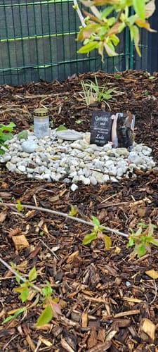 Customer photo review of Hunde Gedenktafel mit Foto & Spruch (UV- & Wetterfest)