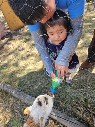 Customer photo review of T-Bone Steak