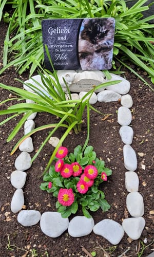 Customer photo review of Katzen Gedenktafel mit Foto & Spruch (UV- & Wetterfest)