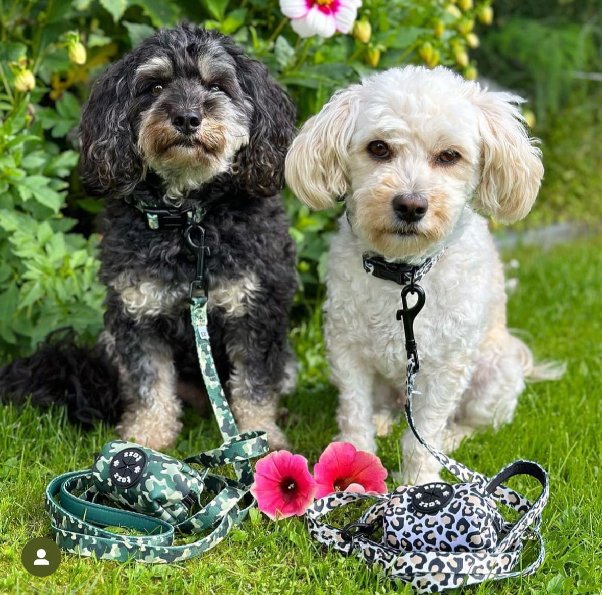 Customer photo review of Koppel - Green Camo