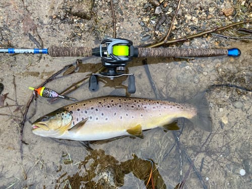 Customer photo review of Custom Float Build