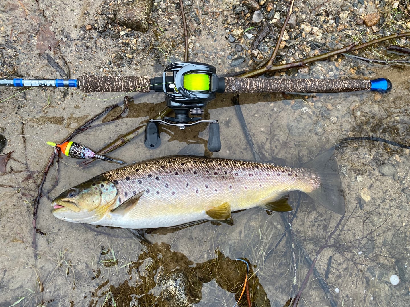 Customer photo review of Custom Float Build