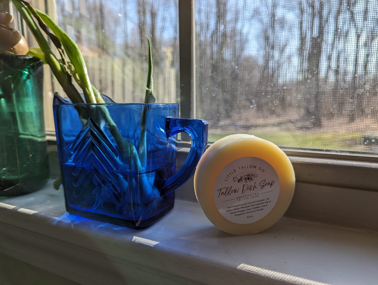 Customer photo review of Tallow Dish Soap
