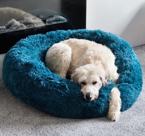 Customer photo review of Super Plush Donut Bed