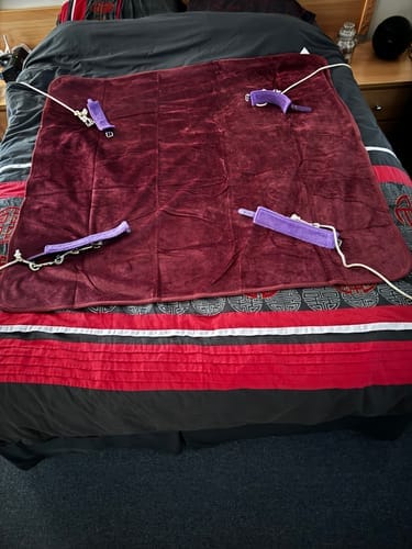 Customer photo review of Waterproof Splash Blanket™️ - Moon Blood Double Veluxe