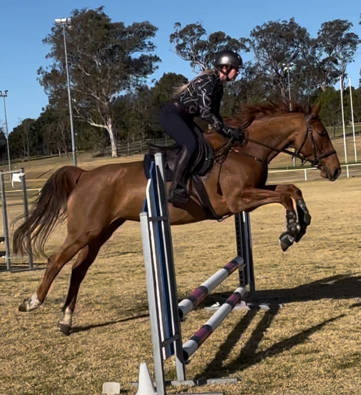 Customer photo review of Rambo Micklem Contoured Long Girth