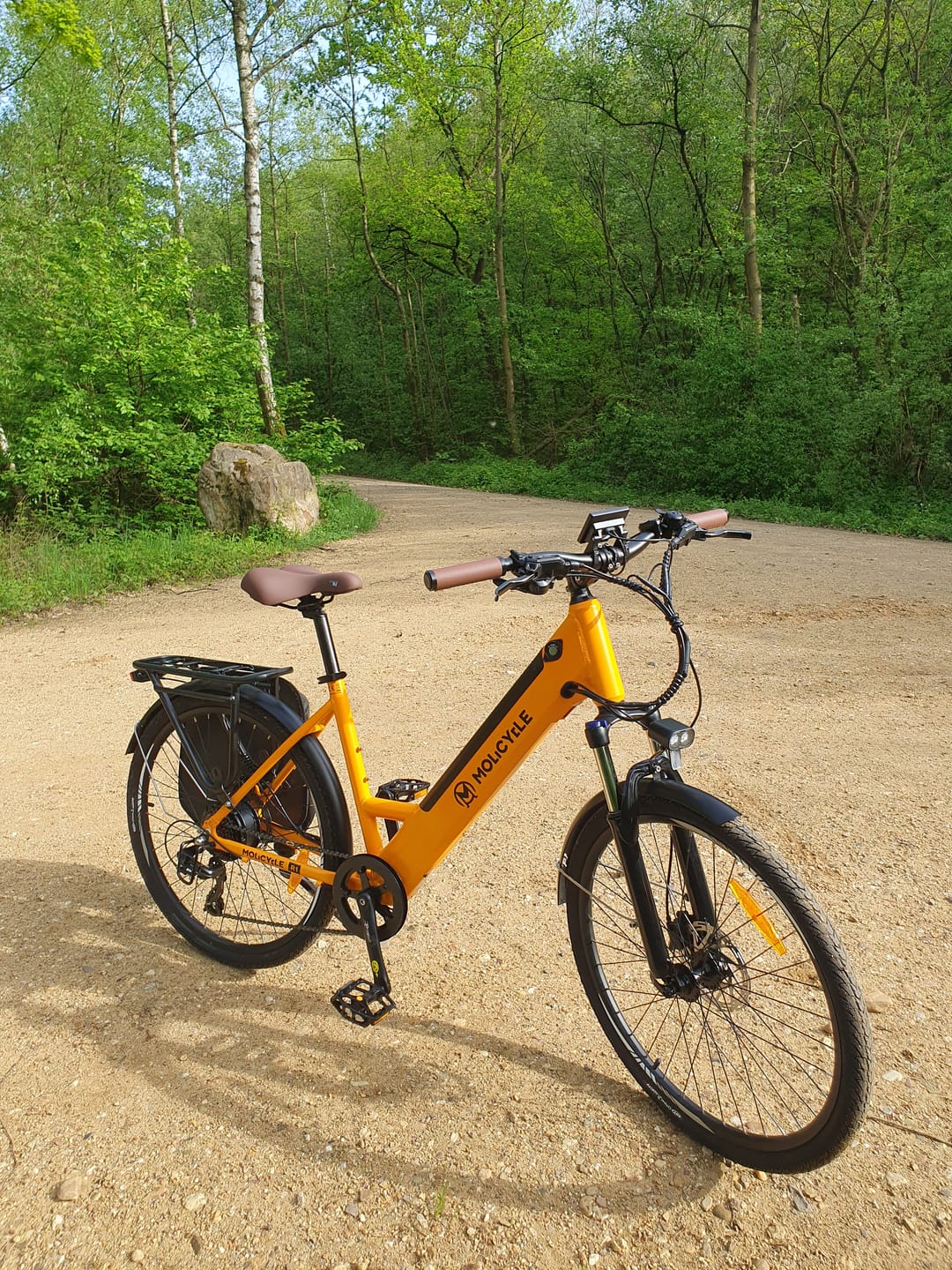 Customer photo review of Molicycle R1 250W 26" Electric Trekking Bike City E-bike 14.5Ah Support APP