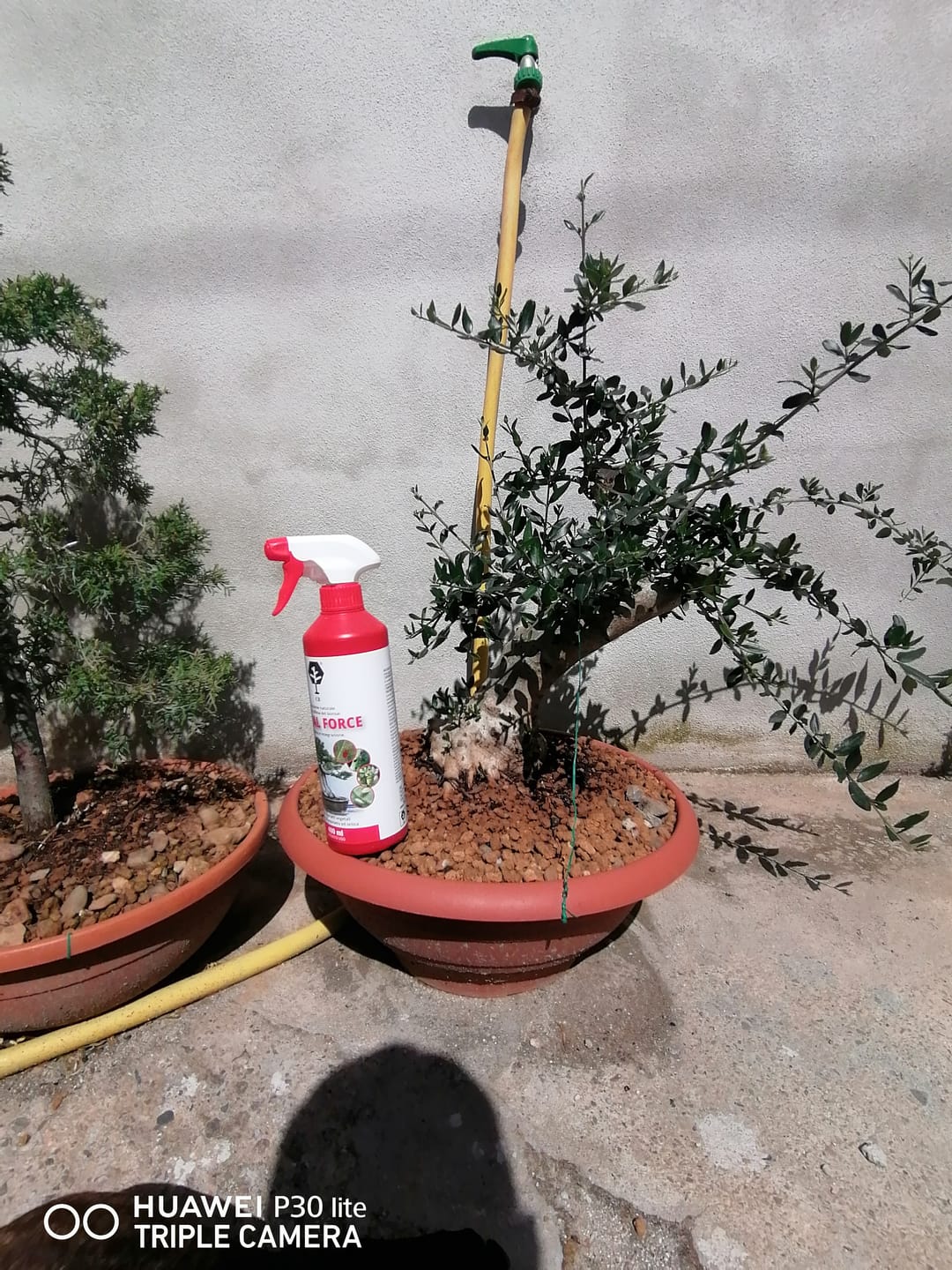 Customer photo review of TOTAL FORCE CB® X2
