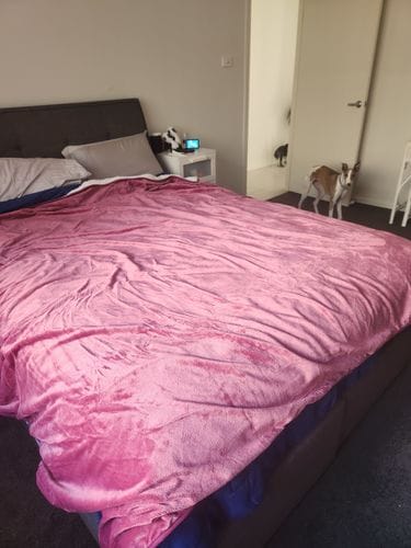 Customer photo review of Waterproof Splash Blanket™ - Mulberry The OG