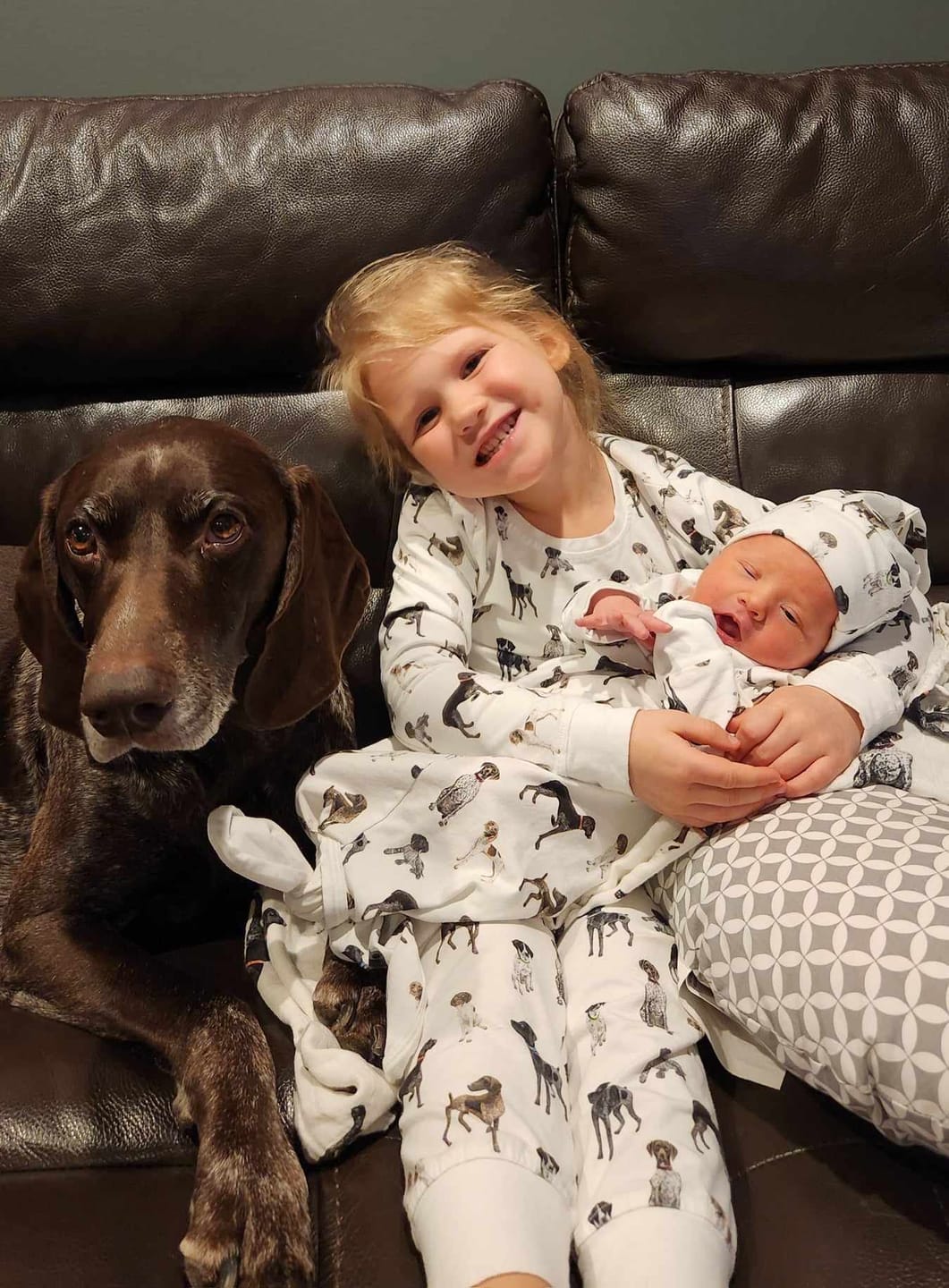 Customer photo review of German Shorthaired Pointers: Pajamas