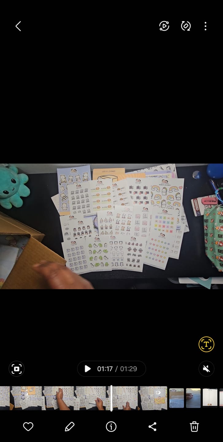 Customer photo review of Hearts and Stars Planner Stickers