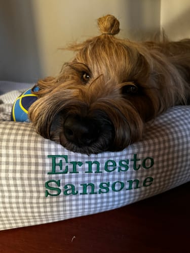 Customer photo review of Divanetto Cotone Vichy Grigio Chiaro