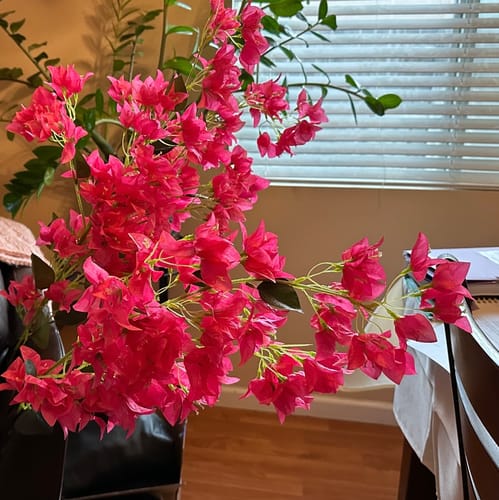 Customer photo review of Bulk 47" Bougainvillea Long Stem Branches Artificial Flowers Wholesale