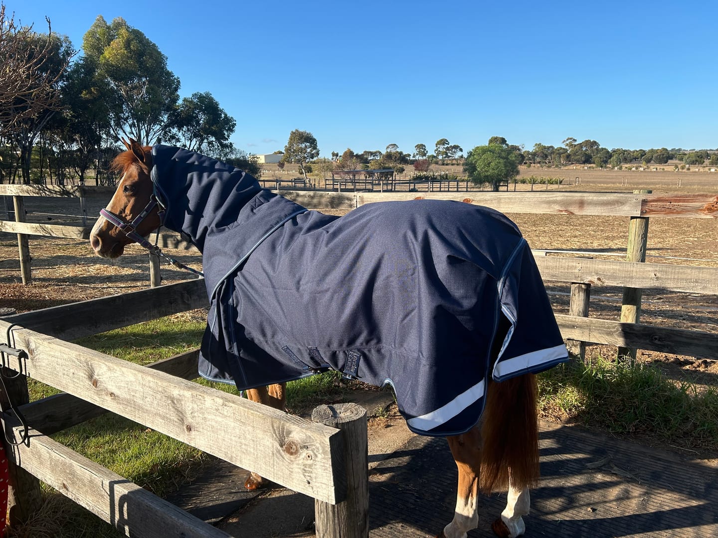Customer photo review of LE Boxter Turnout Ripstop 200g