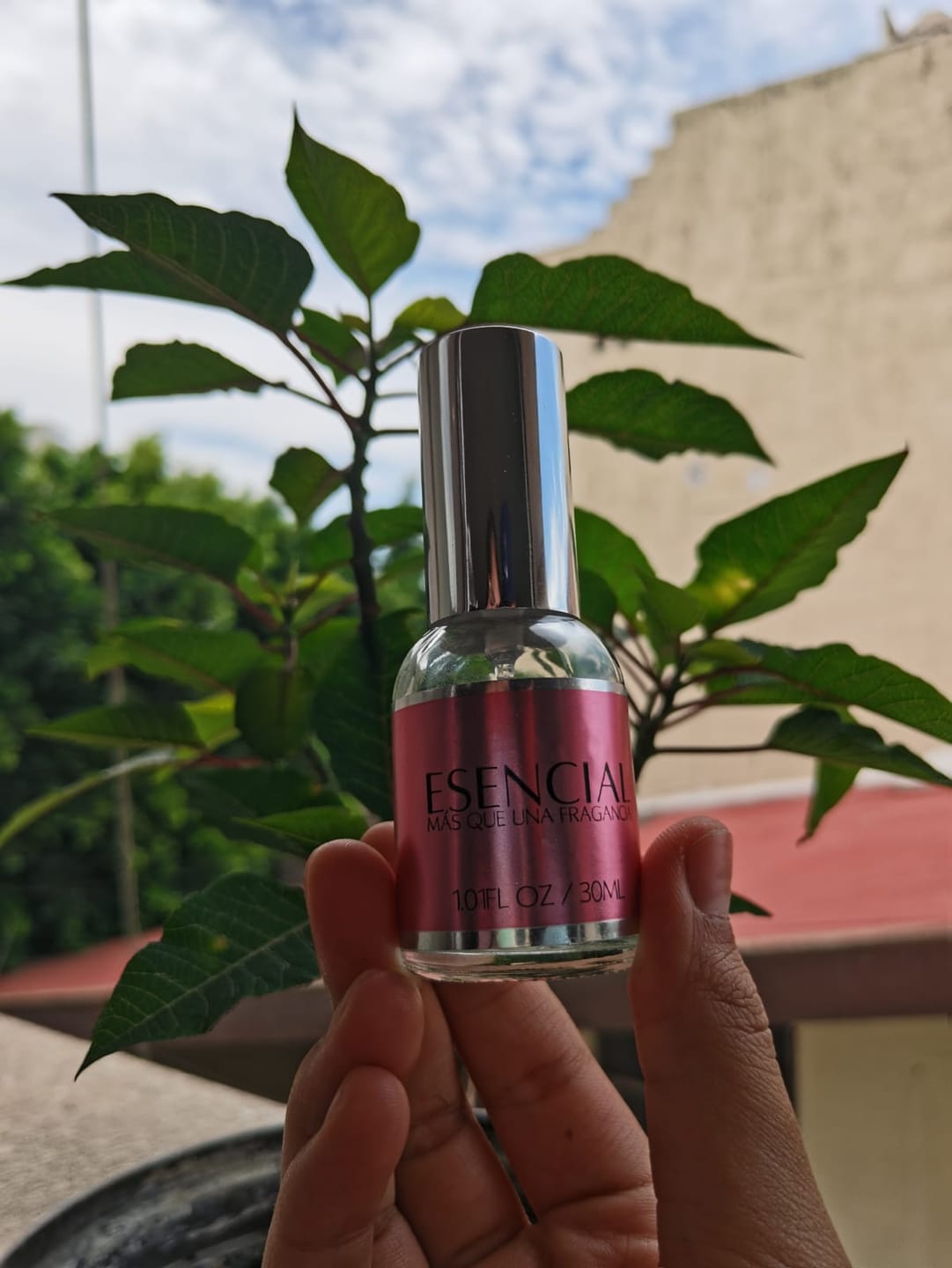 Customer photo review of M131 Inspirado en: Chance Eau Tendre - Chanel