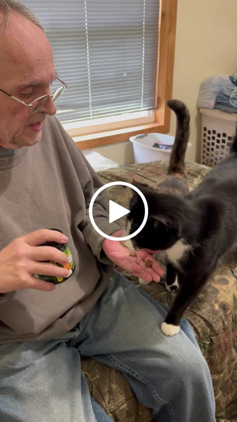 Customer video review of GCP Flea & Tick Natural Defense for Dogs - 100 Soft Chews