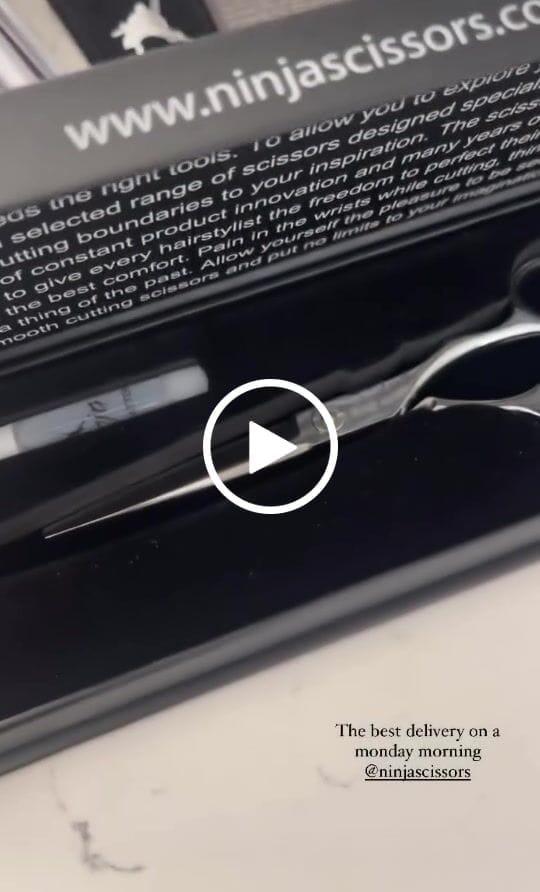 Customer video review of ERGO
