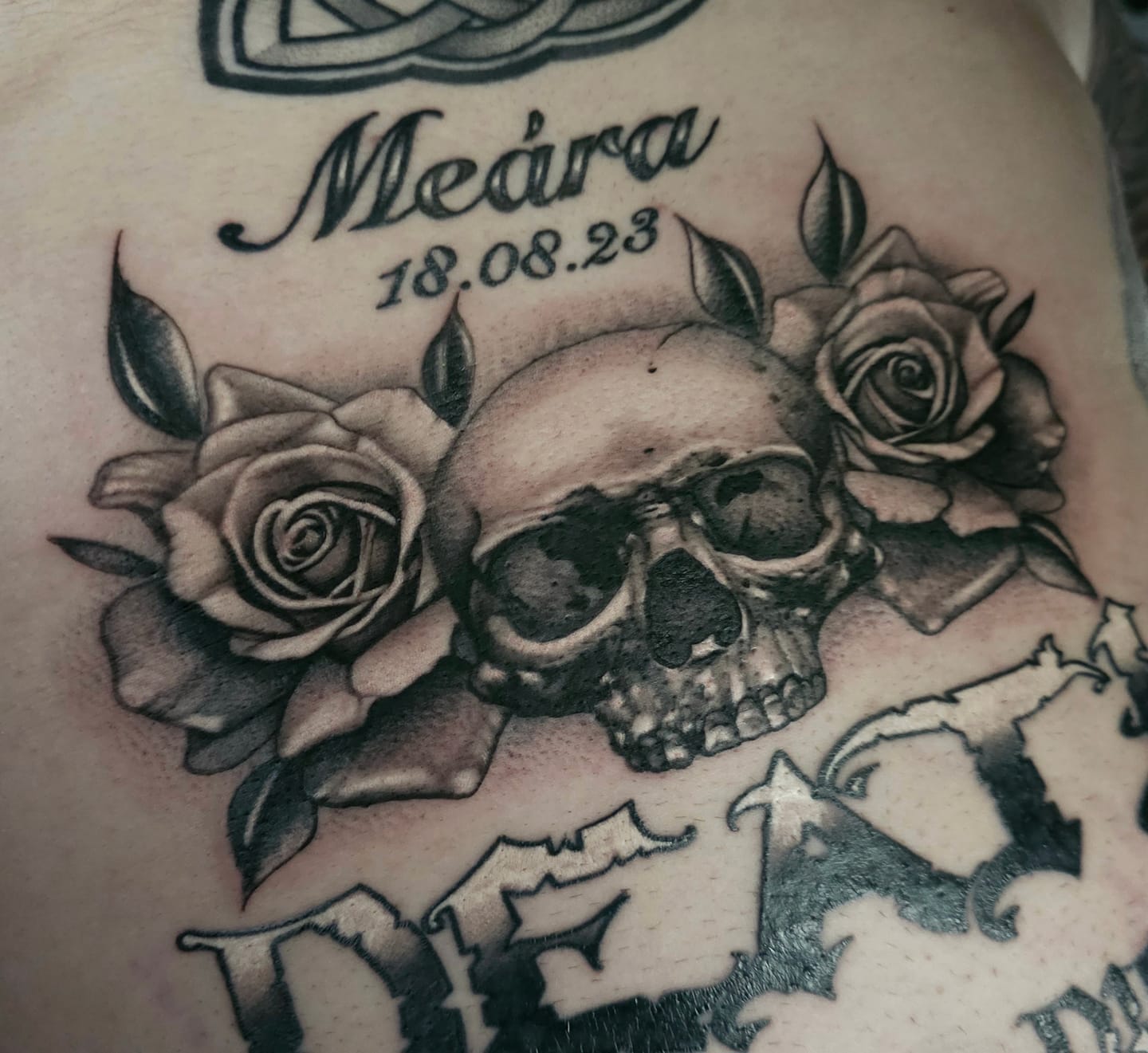 Customer photo review of JCONLY VETAR Tattoo Cartridge Needles Curved Magnum
