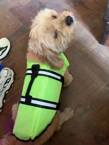 Customer photo review of PupFloat Safety Harness™