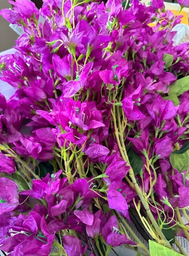 Customer photo review of Bulk 31" Bougainvillea Long Stem Silk Floral Artificial Wholesale