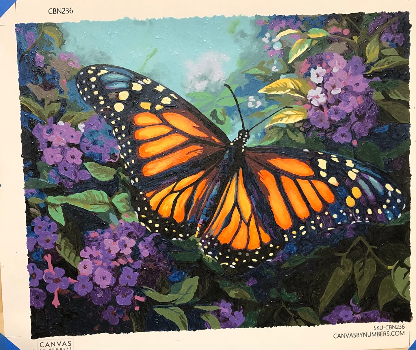 Customer photo review of Monarch Butterfly Painting - Paint by Numbers