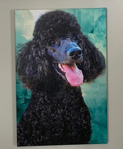 undefined review of Custom Pet Portrait - Modern Style image 1 out of 1