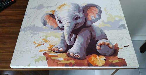 Customer photo review of Baby Elephant Dream