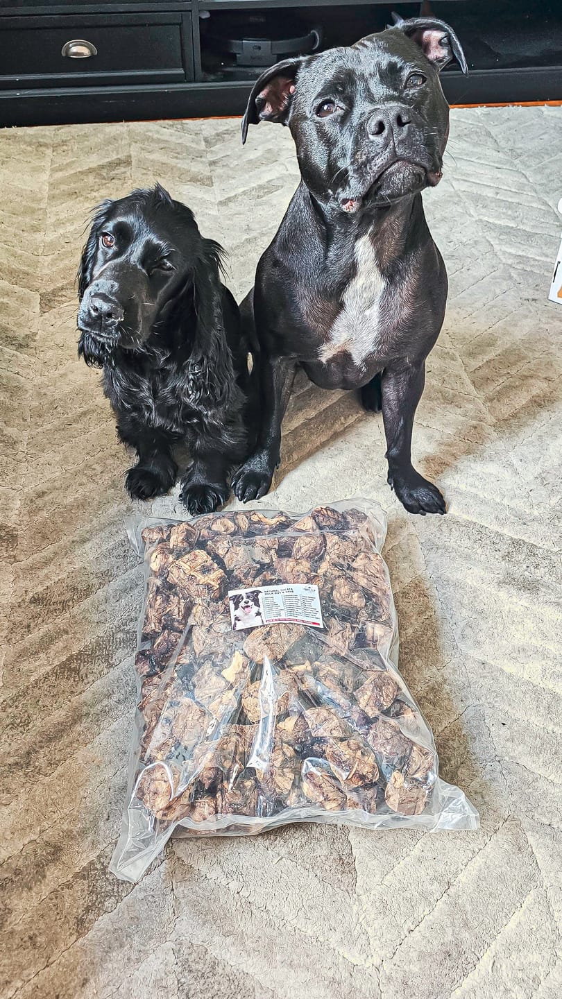 Customer photo review of Aussie Beef Puffs (High value treats)