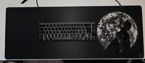 Customer photo review of Moonlight Bat