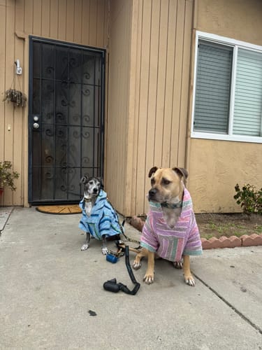 Customer photo review of Playa Poncho - Surprise Color